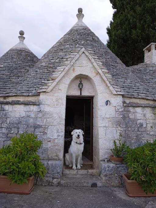 Gasphouse Vila Castellana Grotte Exterior foto