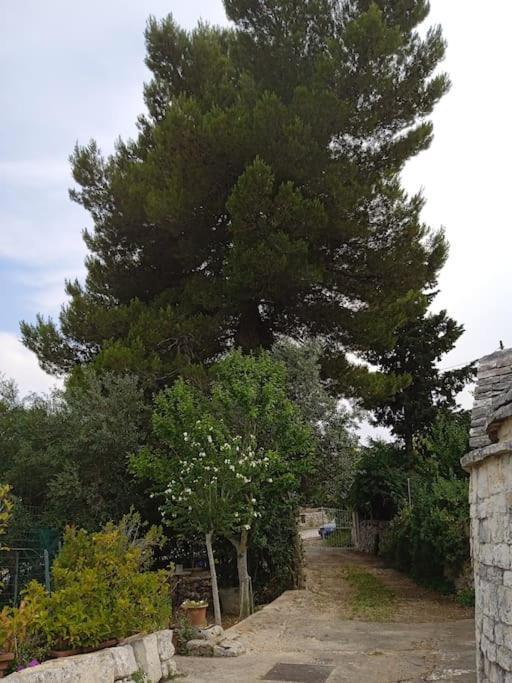 Gasphouse Vila Castellana Grotte Exterior foto