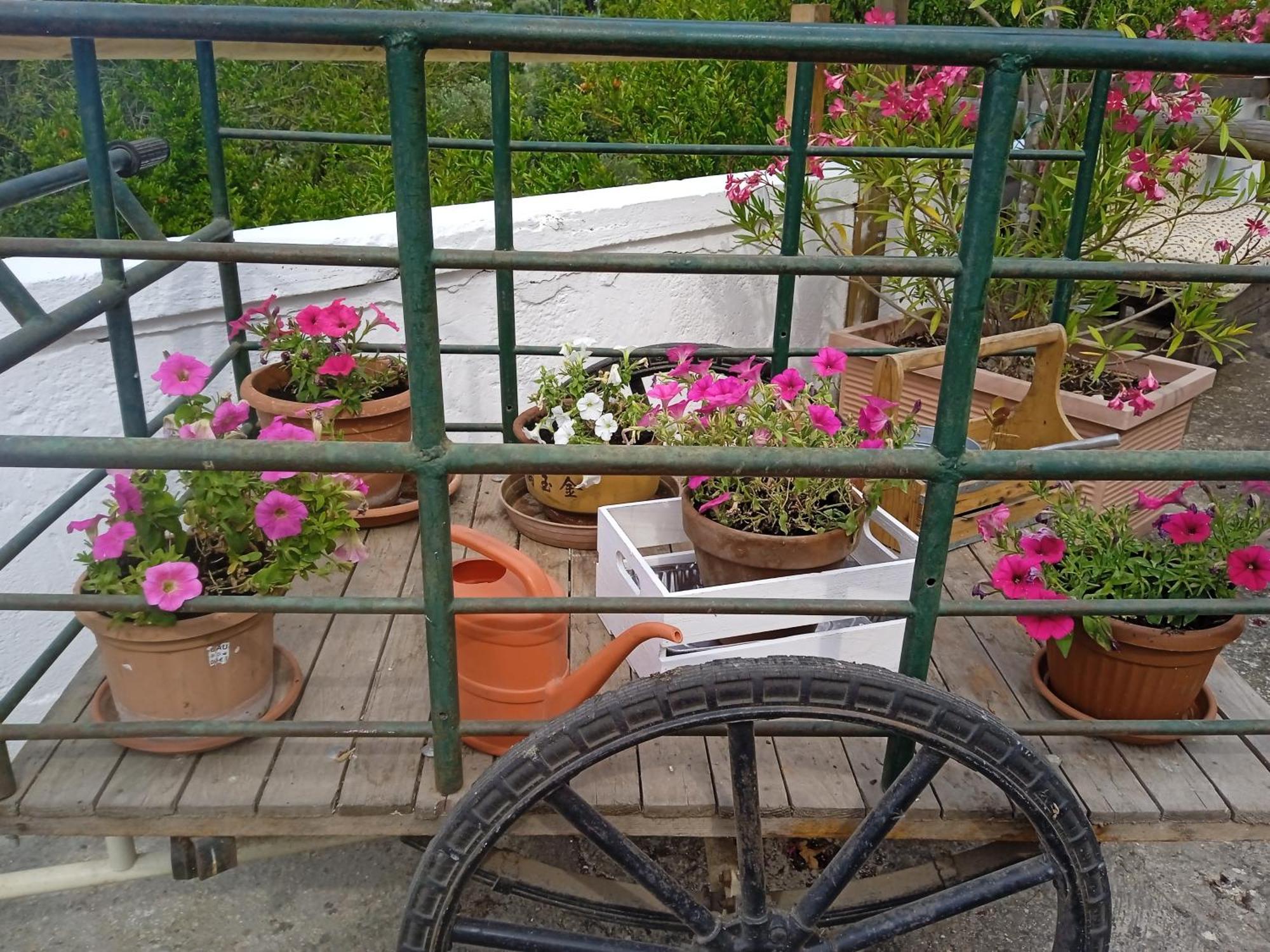 Gasphouse Vila Castellana Grotte Exterior foto